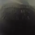 IBM 12K0772 Express Fast Ethernet OSA Module for zSeries 2066 Servers ?Looks NEW