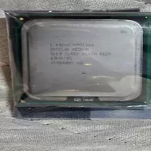 Intel Xeon 5110 1.6 GHz Dual-Core (HH80556KH0254M) Processor