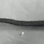 Dell Y0PTC PowerEdge R320 R420 R420xr Server Front I/O Control Panel Board Cable